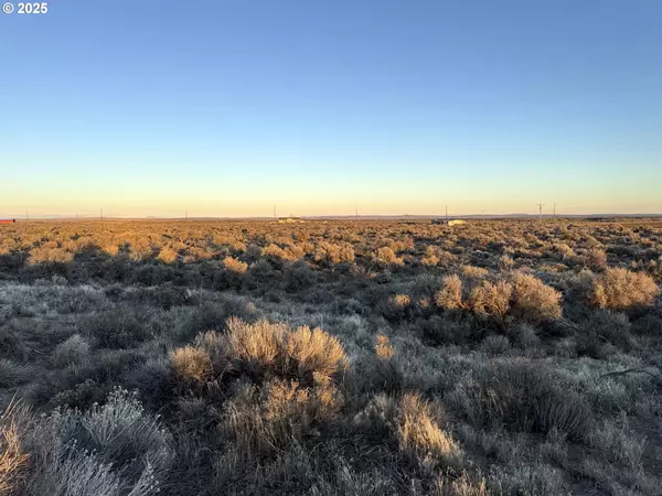 Fossil Lake RD #L-3800, Christmas Valley, OR 97641