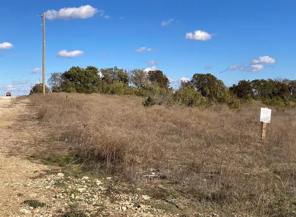 Stephenville, TX 76401,TBD LOT #45 BISON RIDGE Drive