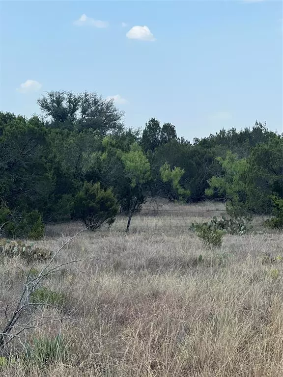 Bluff Dale, TX 76433,TBD Lighthouse