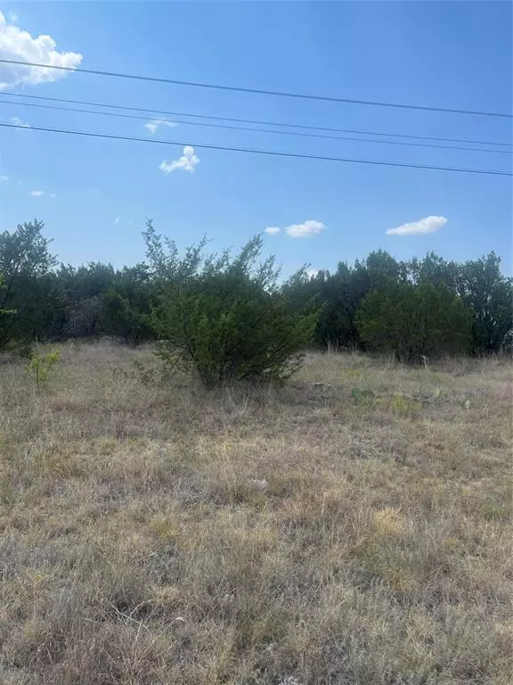 Bluff Dale, TX 76433,TBD Lighthouse