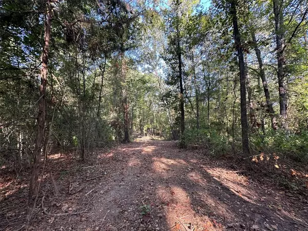 Gilmer, TX 75644,2nd Tract 10Ac Fm 852