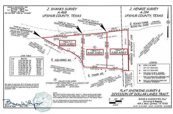 Pittsburg, TX 75686,13.044 Acres FM 2455