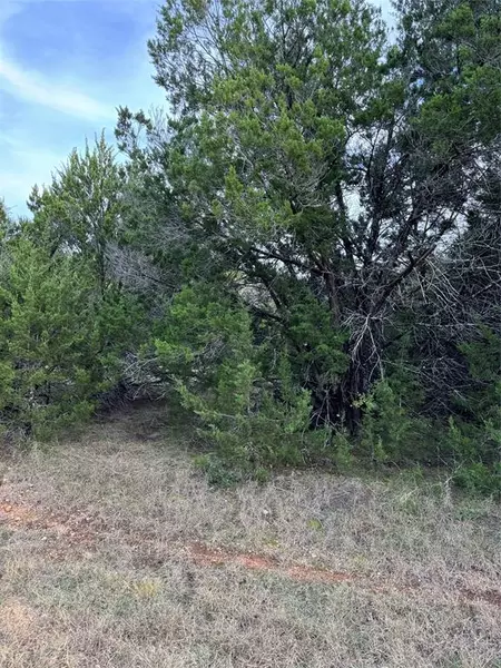 32049 Dove Trail, Whitney, TX 76692