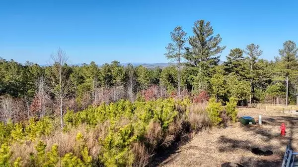 Blairsville, GA 30512,Lot 328 Thirteen Hundred