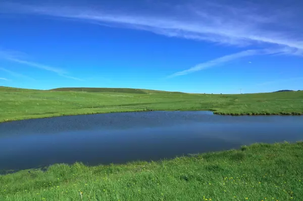 Rural Cardston County, AB T0K 2S0,Highway #5