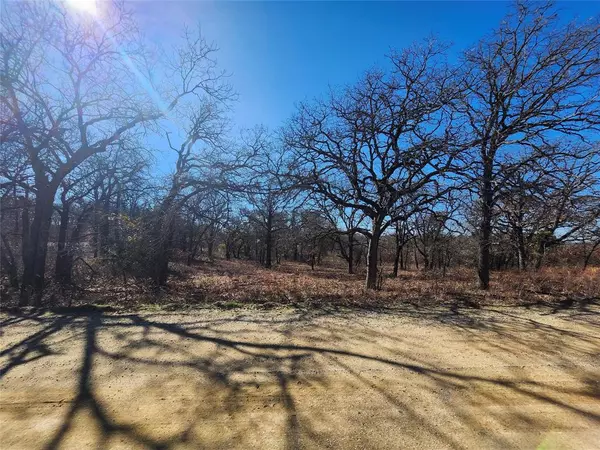 Nocona, TX 76255,121 Mescalero Trail