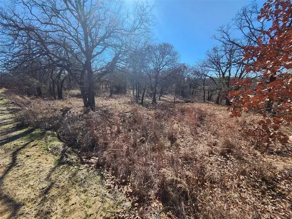 Nocona, TX 76255,121 Mescalero Trail