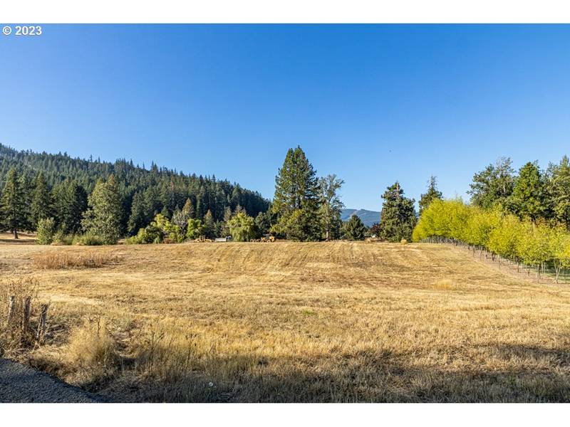 Lot 24 Husum Greens, White Salmon, WA 98672