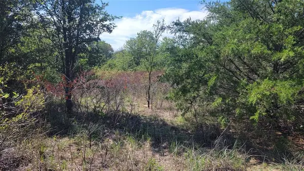 Azle, TX 76020,TBD Kerry Lane