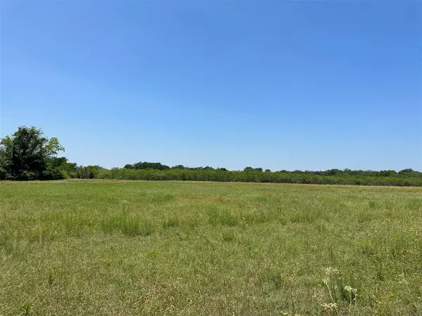 Hico, TX 76457,5029 C R 214