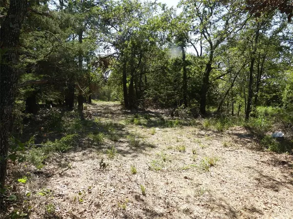 Forestburg, TX 76239,001 Boyd Road