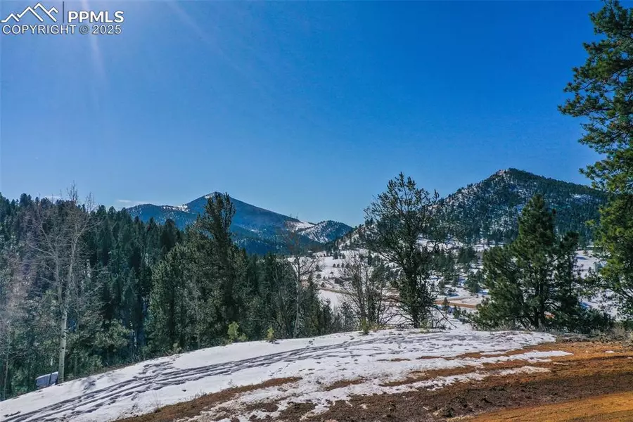 456 Idlewild DR, Cripple Creek, CO 80813