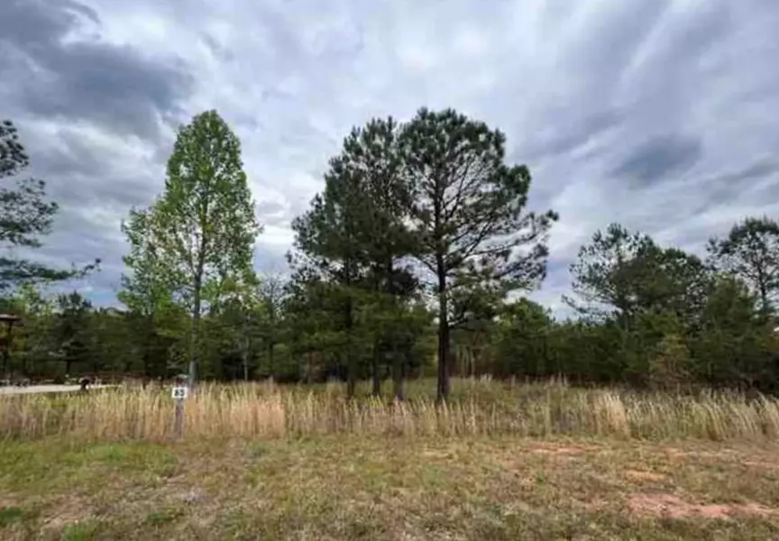 LOT 65 Village Loop, Blairsville, GA 30512