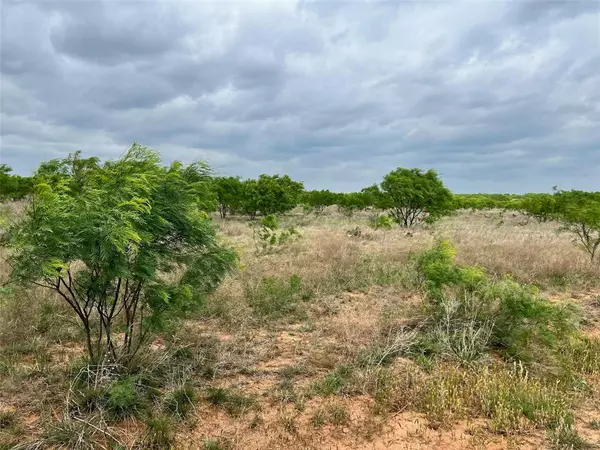 Gorman, TX 76454,196 TBD County Road 196