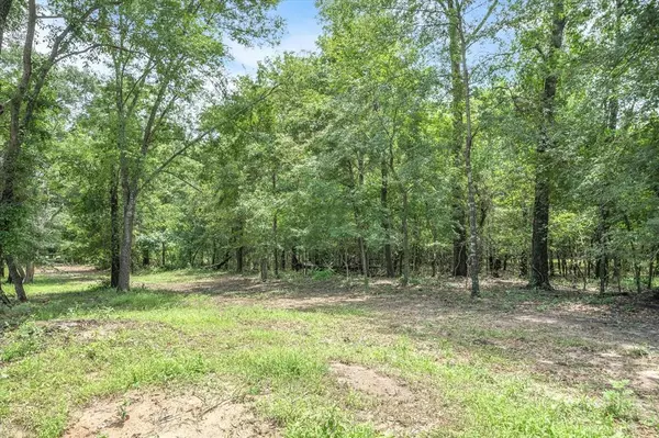 TBD (16 Acres) VZ County Road 1804, Grand Saline, TX 75140