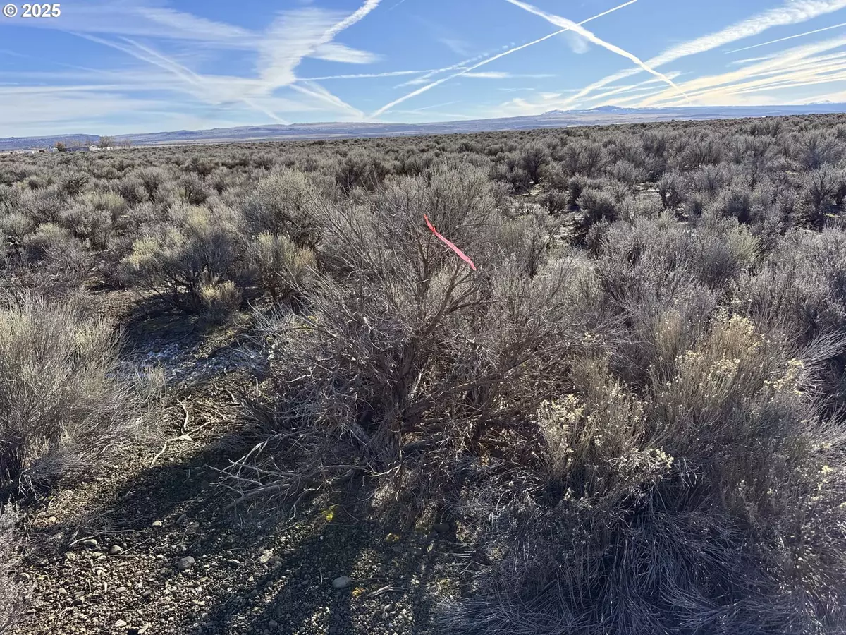 Christmas Valley, OR 97641,Bark LOOP #L-2900