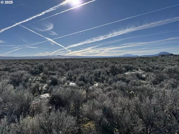 Christmas Valley, OR 97641,Bark LOOP #L-2900