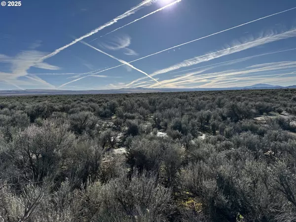 Christmas Valley, OR 97641,Bark LOOP #L-2900