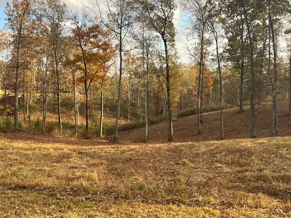 Lot 104 High River Road, Ellijay, GA 30540