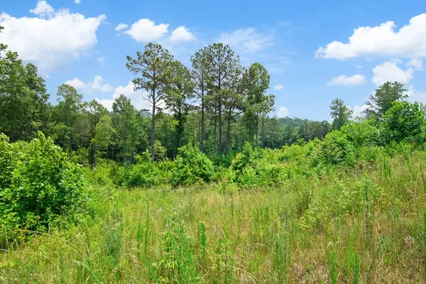 Talking Rock, GA 30175,Lot 196 Oak Park Drive