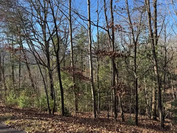 Blairsville, GA 30512,Lot 51 Sunny View Drive