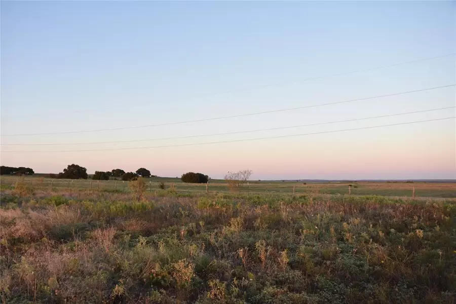 2041 Eagles Ridge Drive, Weatherford, TX 76087