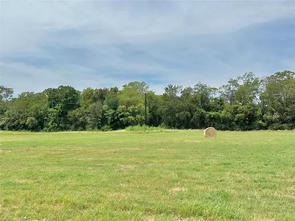 Pickton, TX 75471,0000 County Road 2391