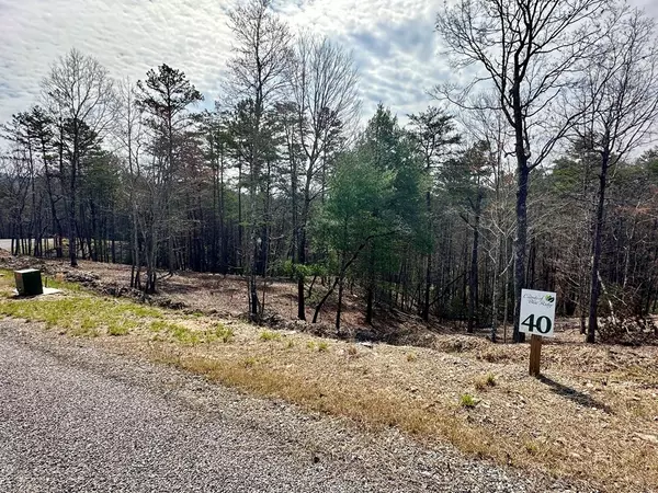 Mineral Bluff, GA 30559,Lot 40 Mountain Laurel Ridge