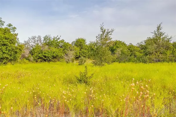 Weatherford, TX 76085,Lot 14R Old Springtown Road