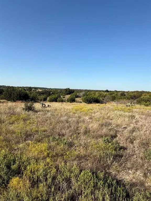 Glen Rose, TX 76043,136 Lot #136 Valley View Ct