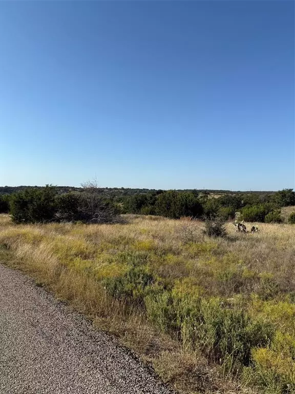 Glen Rose, TX 76043,136 Lot #136 Valley View Ct