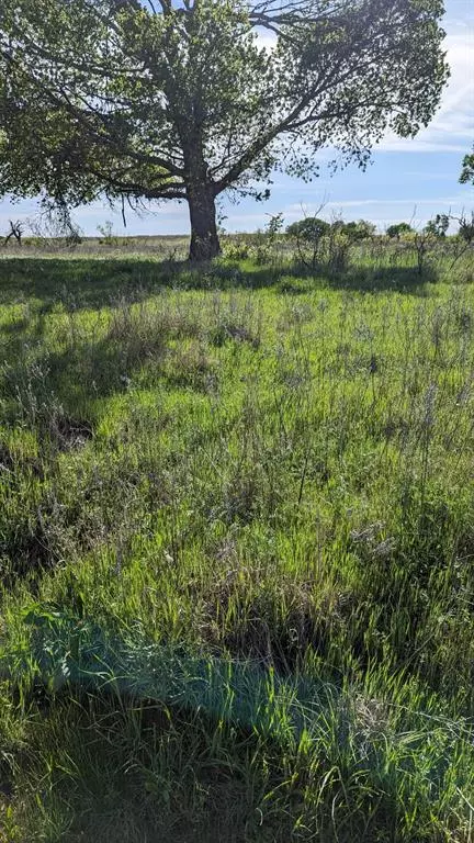 Bellevue, TX 76228,TBD High Plains Trail