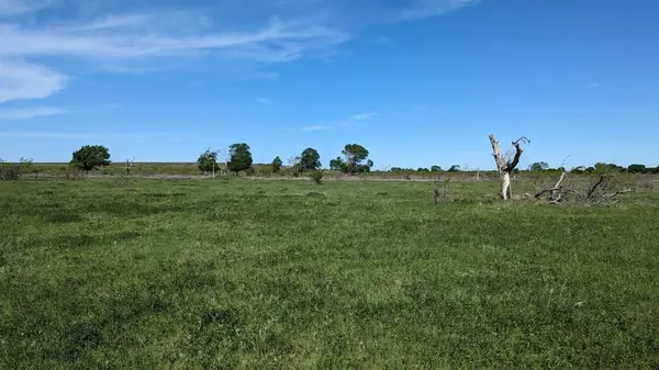 Bellevue, TX 76228,TBD High Plains Trail