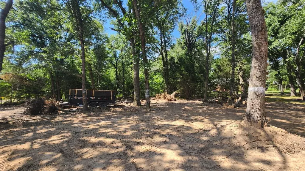 Lot 103 Dogwood Drive, Trinidad, TX 75163