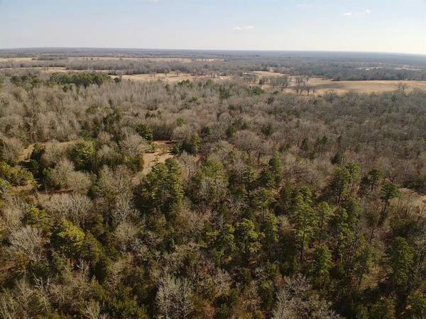 Bogata, TX 75417,TBD COUNTY ROAD 1440