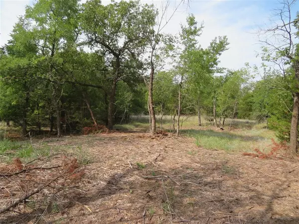 Bowie, TX 76230,000 Horizon Ridge