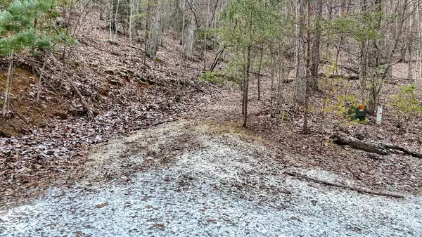 Blairsville, GA 30512,Lot 71 Laurel Brooke