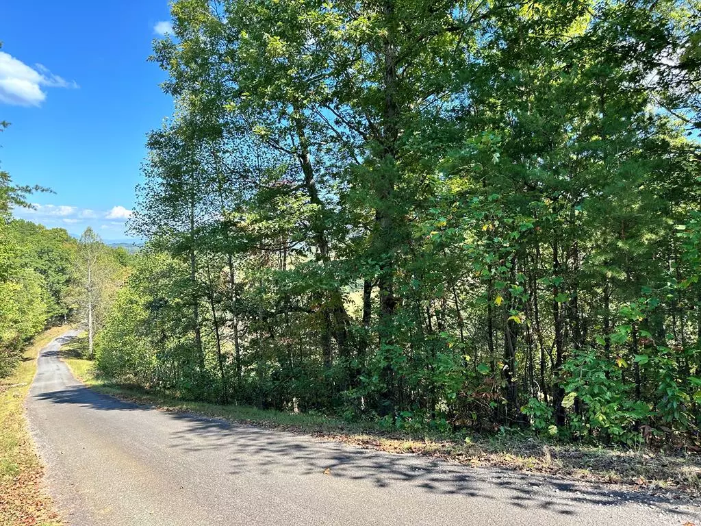 Young Harris, GA 30582,Lot 3 Ruby Ridge Drive