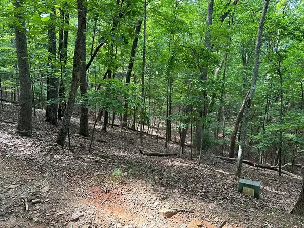 Morganton, GA 30560,Lot 13 Picklesimer Mountain Road