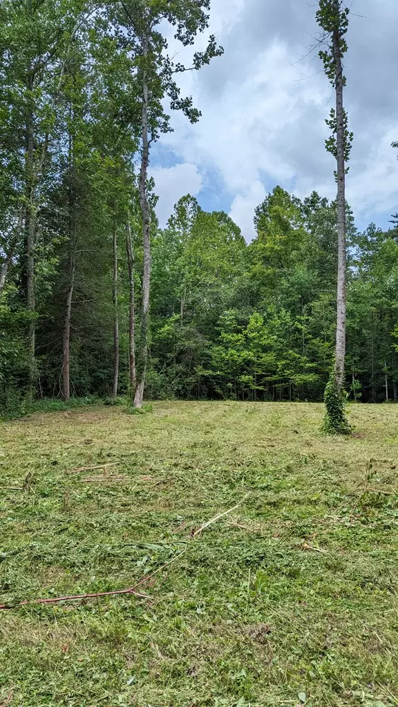 Blairsville, GA 30512,Lot 7 Souther Farm Drive