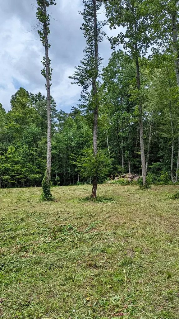 Blairsville, GA 30512,Lot 7 Souther Farm Drive