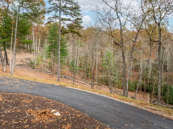 Morganton, GA 30560,Lot 15 Briar Creek Court