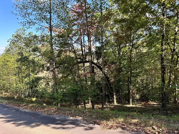 Young Harris, GA 30582,Lot 3 Ruby Ridge Drive