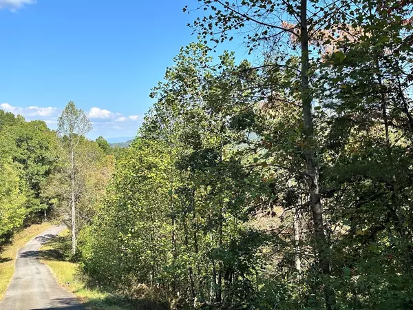 Young Harris, GA 30582,Lot 3 Ruby Ridge Drive