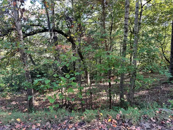 Young Harris, GA 30582,Lot 3 Ruby Ridge Drive