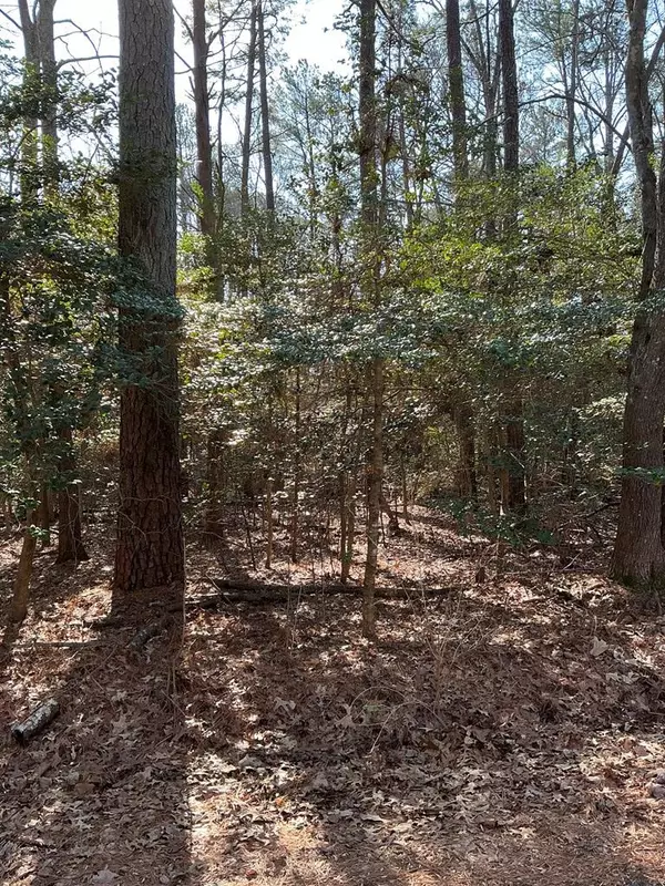 Heathsville, VA 22473,Lot37,38 Island Point RD