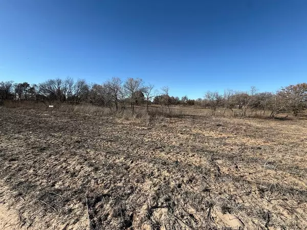 Hawley, TX 79525,Lot 3 PR 365