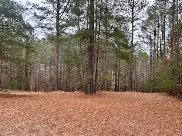 Blairsville, GA 30512,Lot 48 The Sanctuary