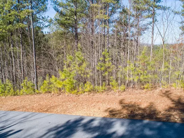 Blairsville, GA 30512,Lt 74 Ridge Crest