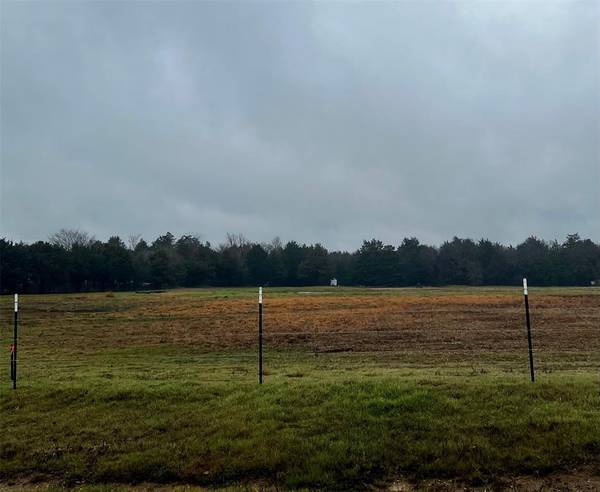 Sadler, TX 76264,Lot 3 Earl Road